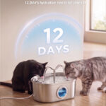 3.2L Cat Water Fountain PWA-01 - Pet Water Fountains - PETIEX