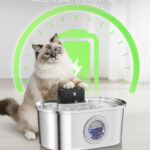 Cordless 3.2L Cat Water Fountain PWA-02 - Pet Water Fountains - PETIEX