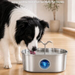 Cordless 8L Dog Water Fountain PWA-03 - Pet Water Fountains - PETIEX