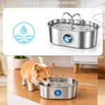 Cordless 8L Dog Water Fountain PWA-03 - Pet Water Fountains - PETIEX