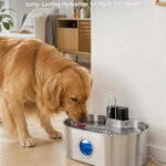 8L Dog Water Fountain PWA-04 - Pet Water Fountains - PETIEX